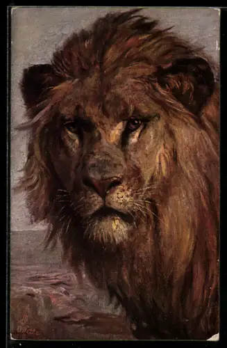 AK Löwe in steiniger Landschaft
