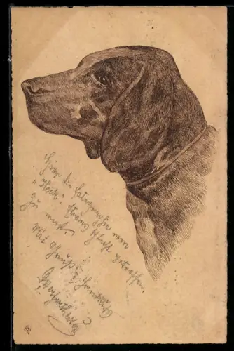 Lithographie Jagdhund, Seitenansicht, Portrait