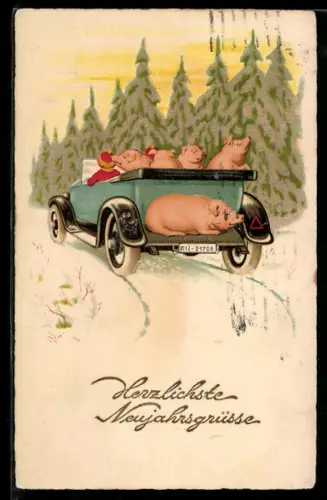 AK Autofahrt mit Schweinen, Schnee, Tannen, Neujahrsgruss