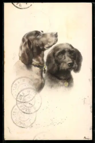 AK Zwei Jagdhunde mit Halsbändern, Portrait