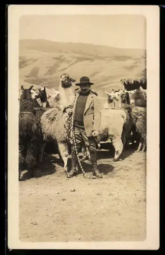 AK Mann mit Lamaherde in den Anden