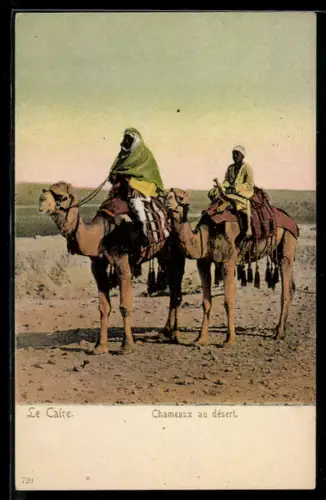 AK Le Caire, Chameaux au désert