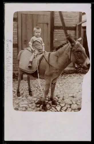 Foto-AK Kleiner Junge mit Gerte auf dem Rücken eines Esels