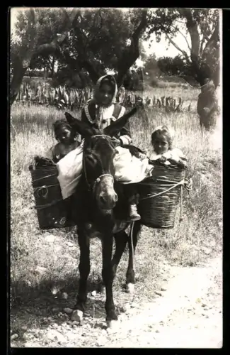 Foto-AK Junges Mädchen auf dem Rücken eines Packesels, Kinder in Körben