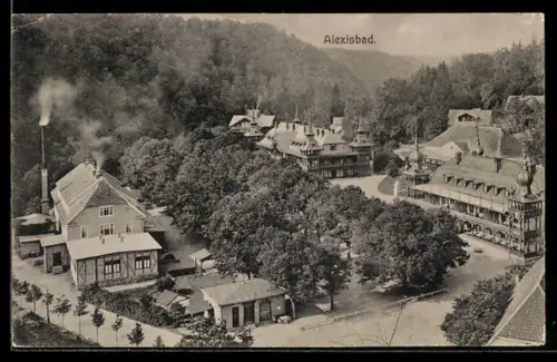 AK Alexisbad, Ortsansicht mit Kurhäusern und Wald