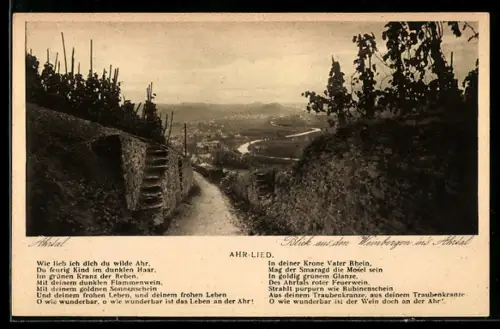 AK Ahrtal, Blick aus den Weinbergen in das Ahrtal, Ahr-Lied