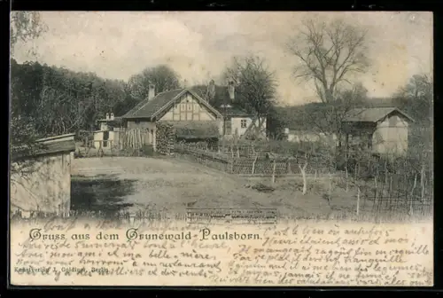 AK Berlin-Paulsborn, Partie im Grunewald