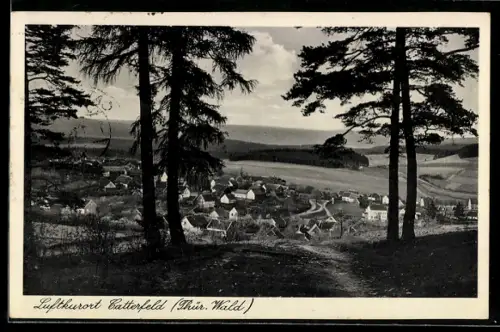 AK Catterfeld / Thür. Wald, Totale vom Berg aus gesehen