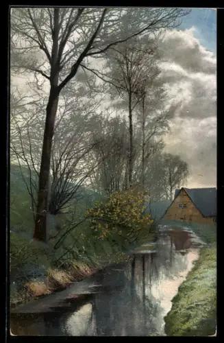 AK Photochromie NR: 1557, Haus am Fluss