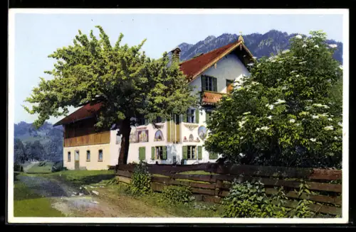 Künstler-AK Photochromie Nr. 5060: Haus mit bemalter Fassade in den Bergen