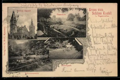 AK Tägerwilen, Schloss Kastell, Fasanerie, Hirschpark, Schwanenteich