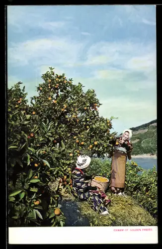 AK Japan, Charm of Golden Fruits, Landwirtschaft