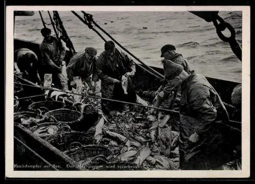 AK Fischdampfer auf See, Fang wird verarbeitet