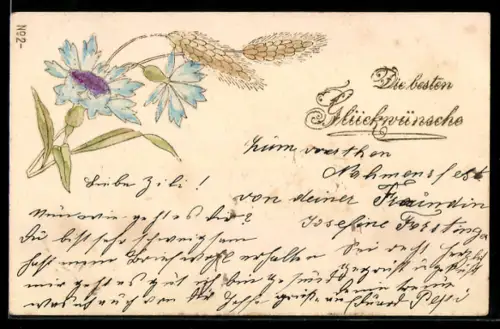 AK Kornblumen in unterschiedlichen Blütestadien