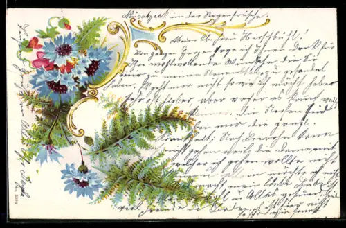 AK Kornblumen in voller Blüte