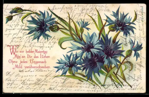 AK Kornblumen in voller Blüte, Wie ein holder Maientag...