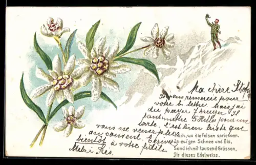 AK Edelweiss vor einem Bergpanorama mit Bergsteiger