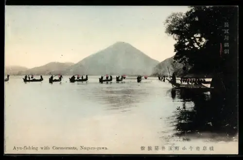 AK Nagara-gawa, Ayu-fishing with Cormorants