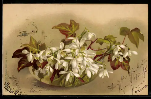 AK Korb voller Schneeglöckchen in voller Blüte