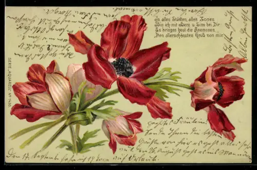 AK Komposition mit drei roten Mohnblumen