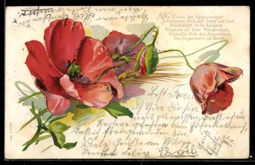 Glitzer-Perl-AK Blühender Mohn, Gedicht um 1901