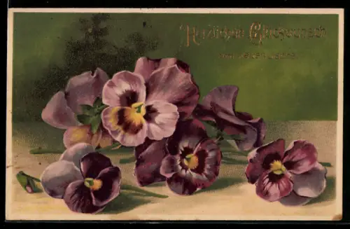 AK Stiefmütterchen in voller Blüte