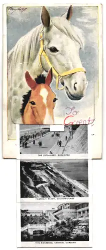 Leporello-AK Bournemouth, Central Gardens, Esplanade in Boscombe, Pier Approach