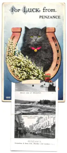 Leporello-AK Penzance, Palm Avenue, Harbour, Promenade