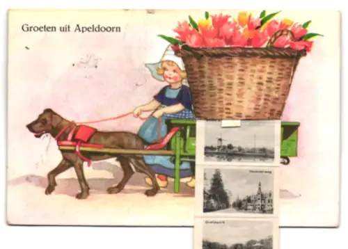 Leporello-AK Apeldoorn, Loolan, Molen a. h. Kanaal