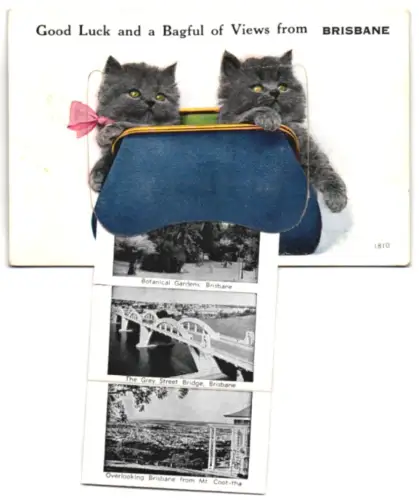 Leporello-AK Brisbane, The Customs House, Botanical Gardens