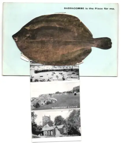 Leporello-AK Babbacombe, Anstey`s Cove, Oddicombe Beach, Torquay from Vane Hill