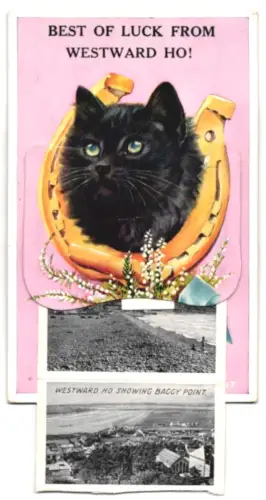 Leporello-AK Westward Ho, The Beach, Baggy Point, Braddicks Holiday Camp