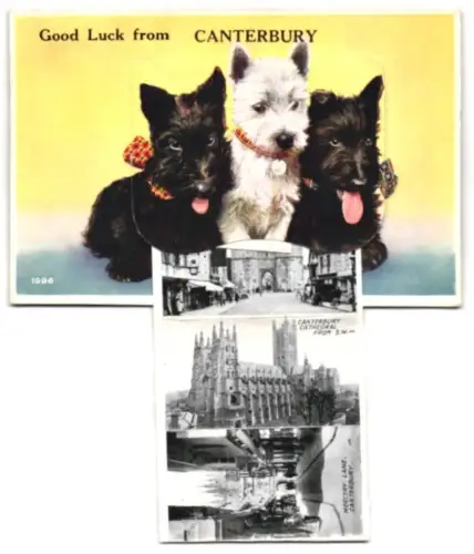 Leporello-AK Canterbury, West Gate, Cathedral, Archbishops Chair