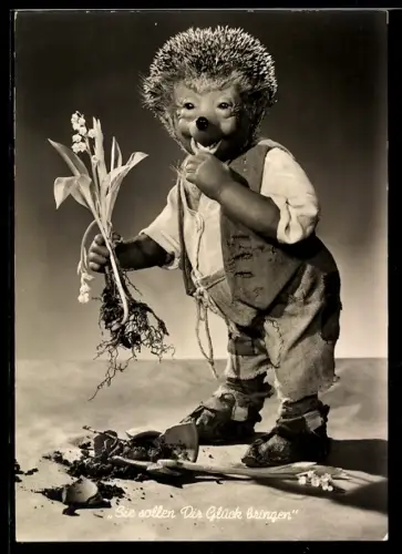 AK Igel Mecki hat eine Blume aus dem Boden gerissen