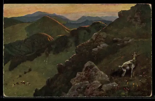 Künstler-AK H. Hoffmann: Bad Blechen, Hochkelch geg. d. Blauen und Rheinebene