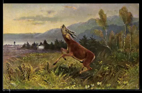 AK springender Hirsch auf einer Wiese