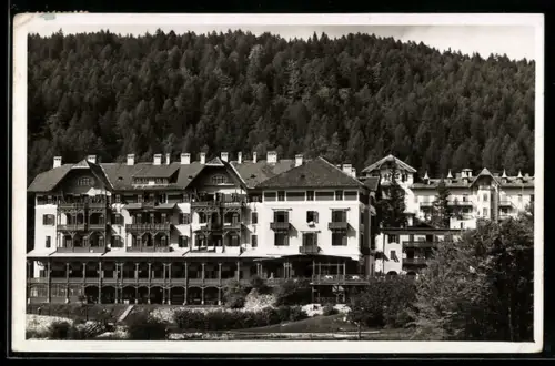 AK Mendola, Grandi Alberghi al Passo della Mendola, vista sul bosco