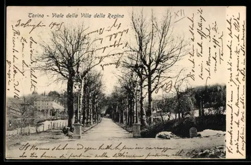 AK Torino, Viale della Villa della Regina