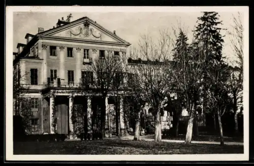 AK Torino, Convitto Vedove e Nubili