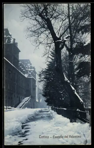 AK Torino, Castello del Valentino innevato
