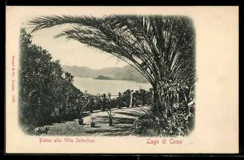 AK Lago di Como, Palme alla Villa Serbelloni