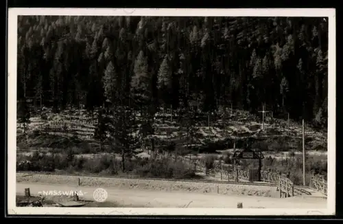 AK Toblach, Nasswand, Paesaggio forestale con sentiero e ingresso recintato