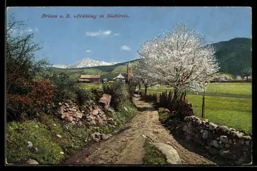 AK Brixen a. E., Primavera in Alto Adige con paesaggio rurale e fioritura degli alberi, Brixener Blumentag 1913