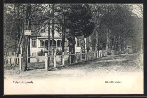 AK Friedrichsruh, Strassenpartie an der Oberförsterei