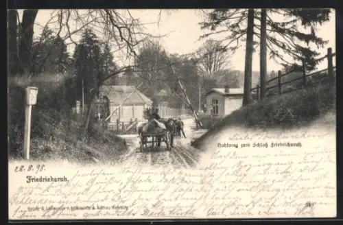 AK Friedrichsruh, Strasse Hohlweg zum Schloss Friedrichsruh