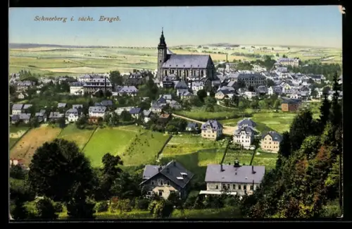 AK Schneeberg i. sächs. Erzgeb., Stadtansicht mit Kirche