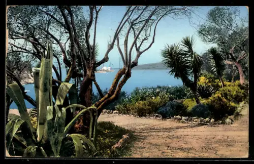 AK Lussinpiccolo, Cigale