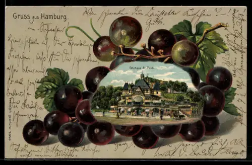 Passepartout-Lithographie Hamburg-St. Pauli, Ansicht des Fährhauses St. Pauli gerahmt von Trauben