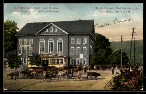 AK Grossbreitenbach /Thüringerwald, Gasthaus Schützenhof am Hochwald und Kühe bei der Heimkehr von der Weide