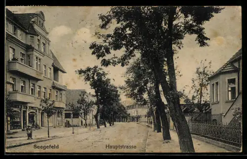 AK Seegefeld, Häuser an der Hauptstrasse